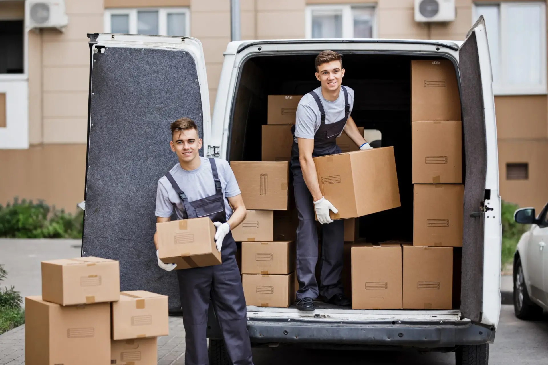 Movehaus Team