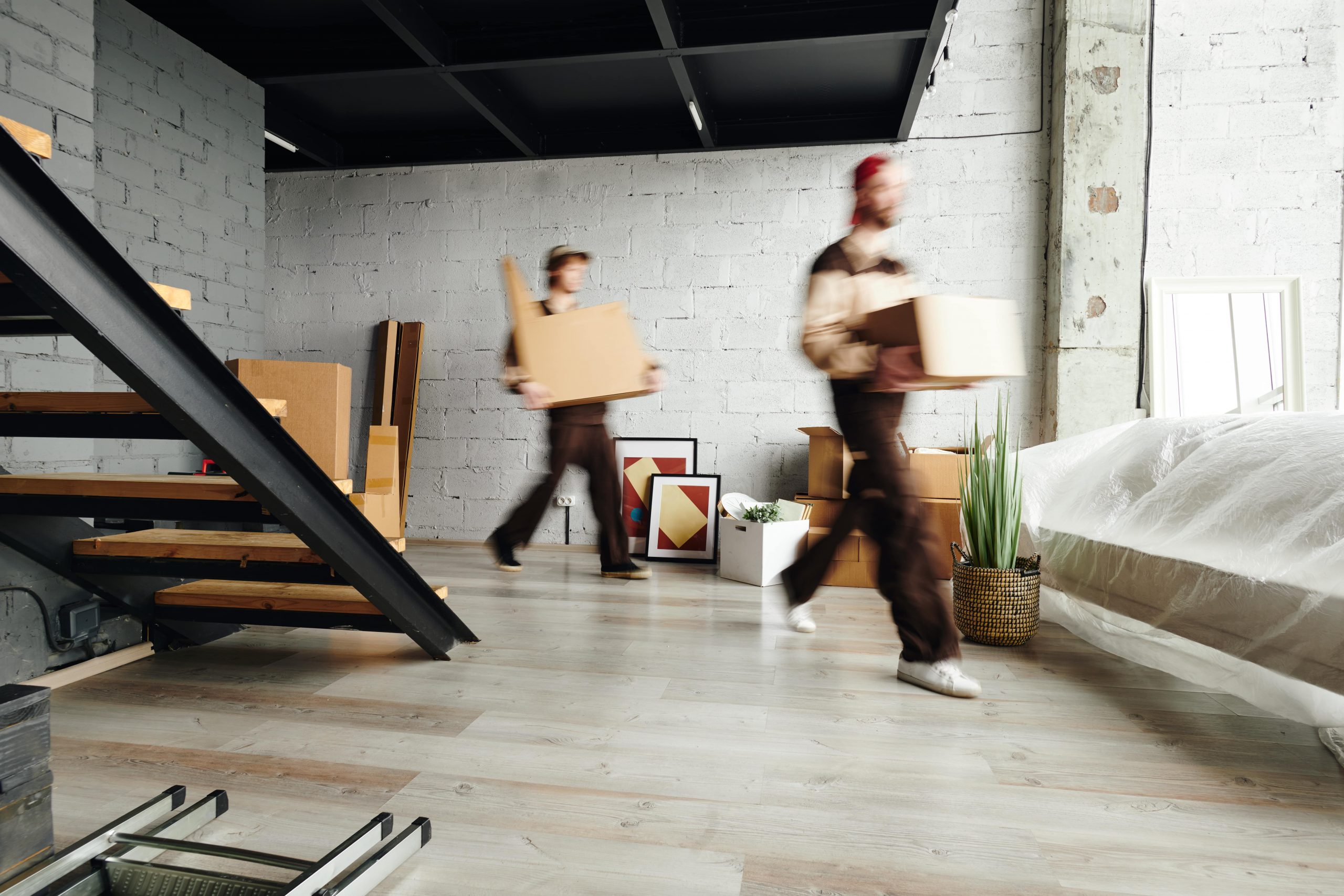 Movehaus Team