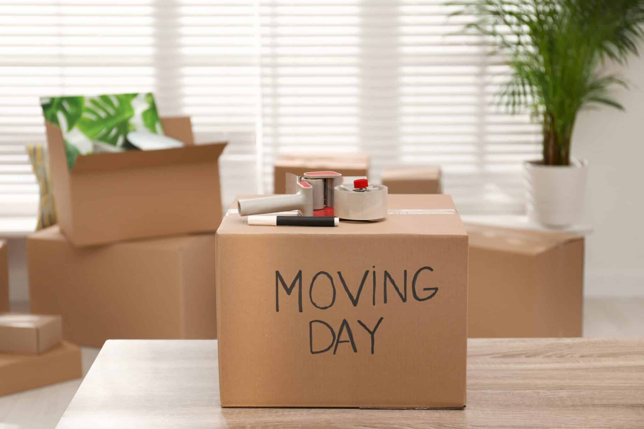 Movehaus Team